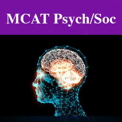 MCAT Psychological, Social, & Biological Foundations Of Behavior Section
