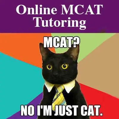 Online Chemistry Tutoring