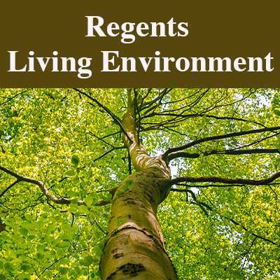 NYS Regents Living Environment lessons with Dr. Donnelly